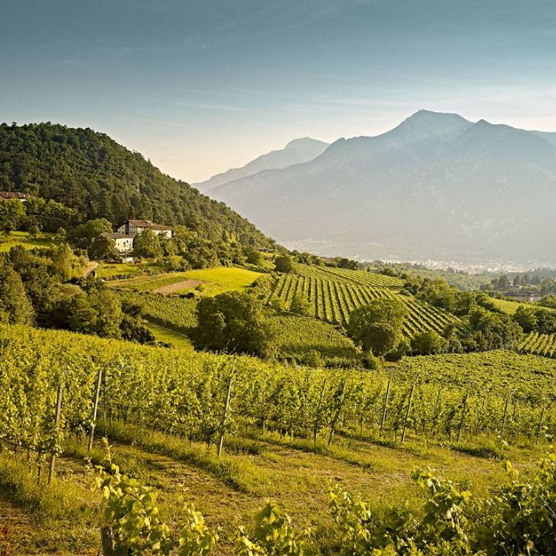 Trentino - Alto Aldige